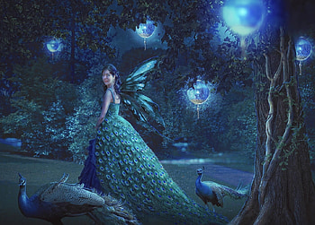 Peacock lady, paun, bird, fantasy, bubble, peacock, girl, blue, night, annewipf, pasari HD wallpaper