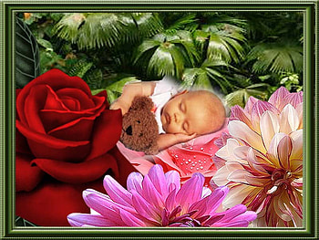 Baby among flowers, baby, rose, people, flower HD wallpaper