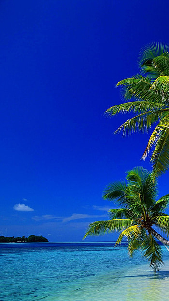 Caribbean , Tropical paradise, Beach scenes, personalization HD phone wallpaper