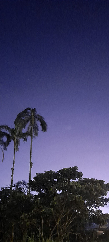 Puple, sky, purple HD phone wallpaper