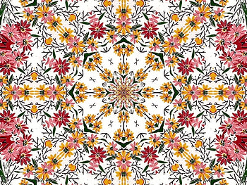 Kaleidoscope of Multi-Colored Daisies, colors, kaleidocsope, daisies, flower HD wallpaper