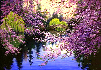 Blossom in Bacon Hill Park, attractions in dreams, paintings, spring, parks, love four seasons, lakes, draw and paint, nature, flowers, bridges HD wallpaper