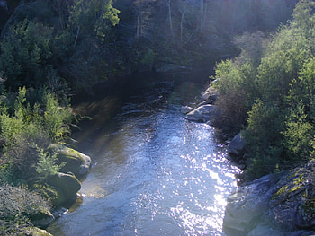 Sunny River, plants, awesome, lightness, cena, nice, background, scenery, bright, fullscreen, scenario, sunsets, landscape, forests, panorama, stones, cenario, summer, leaves, light, nature, leaf, trunks, grove, sunny, natural, graphy, , day, amazing, , laguna, water, creeks, sun, scene, sunrises, beautiful, lagoons, , lakes, sunrays, wood, hop, branches, cool, brightness, rivers HD wallpaper