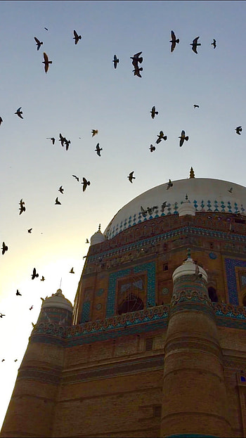 Shah rukn e alam shrin, sky, flock, muslim, tomb, shrine HD phone wallpaper