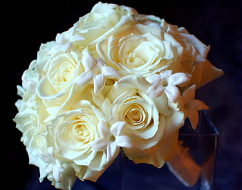 Flowers, Roses, Bouquet, Tenderness, Snow White HD wallpaper
