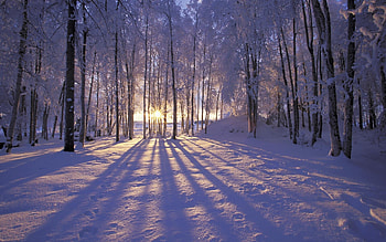 Landscape, Winter, Snow HD wallpaper