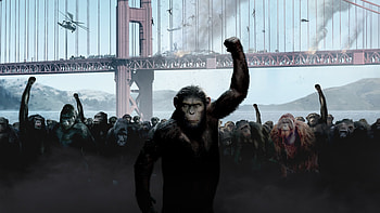 Planet of the Apes, Rise film, Backdrops, The movie database HD wallpaper