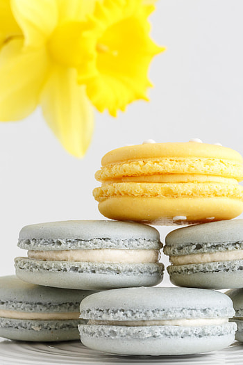 Food, Desert, Flower, Cake, Bakery Products, Baking, Macaroons, Makaroons HD phone wallpaper
