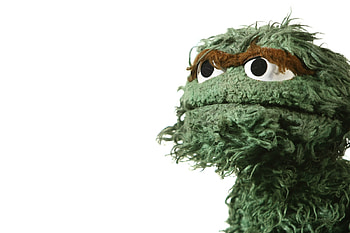 Sesame Street Animation, High-definition , Colorful backgrounds, Nostalgic vibes HD wallpaper