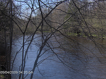Pine River, river, vestaburg, vestaburg mi, mi, michigan, rivers HD wallpaper