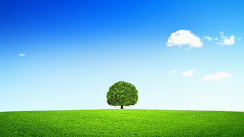 Grass and sky , Popular backgrounds, Nature's beauty, Stunning landscapes HD wallpaper
