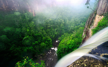 Breathtaking views, Rainforest beauty, wonders, serenity HD wallpaper