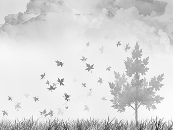 Stormy Day, gray, clouds, leaf, grass, windy, storm, tree HD wallpaper
