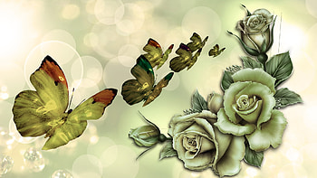 Marvelous Greens, butterflies, summer, bokeh, roses, shine, green, spring, Firefox Persona theme HD wallpaper