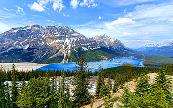 Peyto Lake, Banff National Park, canadian landmarks, mountains, summer, beautiful nature, Banff, R, Canada, Alberta, blue lake HD wallpaper