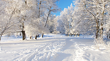 Landscape, Winter, Snow HD wallpaper