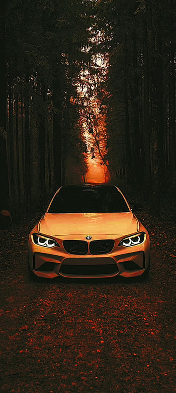 BMW in Nature, 22, 56, 21 HD phone wallpaper