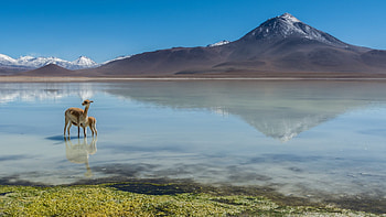 Salt Lake in Chile HD wallpaper