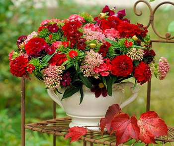 FLOWERS IN VASE, fance, colorful, green, red, vase, nature, flowers, grass HD wallpaper