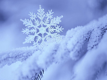 Winter, Snow, Macro, Pattern, Form, Snowflake HD wallpaper