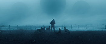 Morning Encounter , artist, artwork, digital-art, artstation, gun, dogs HD wallpaper