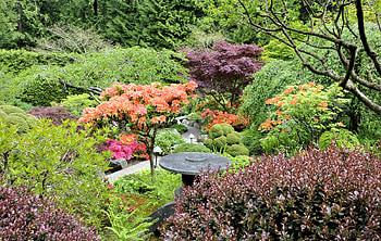 Nature, Trees, Lilac, Bush, Garden, From Above, Above HD wallpaper