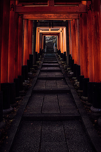 Stairs, tunnel, pathway HD phone wallpaper