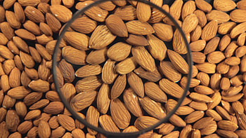 Almonds through magnifying glass, Stock video aesthetics, Captivating almond visuals, Exploring almond textures HD wallpaper