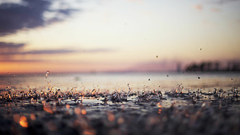 Rain in , Heavenly droplets, Nature's symphony, A rainy day HD wallpaper