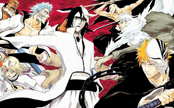 shinigami vs espadas, shinigami, vs espadas HD wallpaper