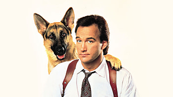 K-9 movie collection, Canine companions, Film streaming platforms, K-9 movie availability HD wallpaper