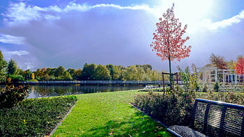 Beautiful sunny park scene featuring benches, a lake, and lush greenery under a bright sky. HD wallpaper