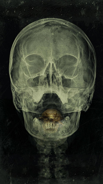 The Bay (2022) movie HD phone wallpaper