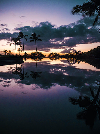 Nature, Water, Sunset, Palms, Reflection HD phone wallpaper