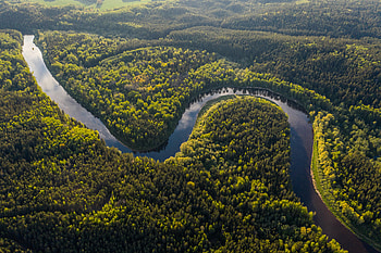 Nature, Rivers, Trees, Forest, Winding, Sinuous HD wallpaper