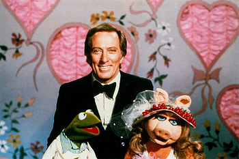 Andy Williams on The Muppet Show, Miss Piggy, Kermit the Frog, TV Show, The Muppets (TV Show) HD wallpaper