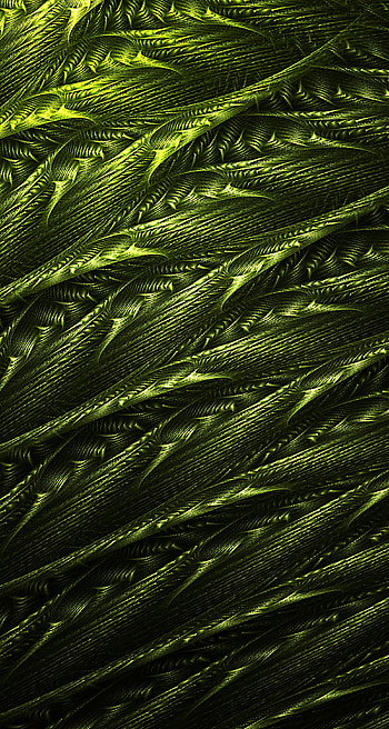 Abstract, Structure, Fractal, Confused, Intricate HD phone wallpaper