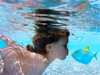 Cool Kiss, amazing HD wallpaper