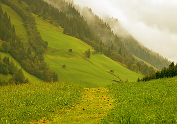 Landscape, field, nature, grass, hill HD wallpaper