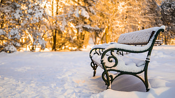 Snow Covered Bench, winter, bench, snow, park HD wallpaper