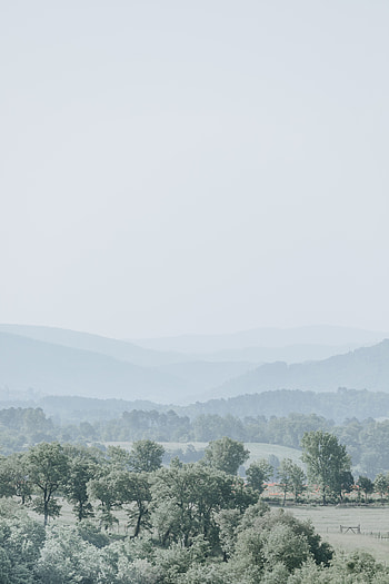 Landscape, Nature, Trees, Horizon, Fog, Hills HD phone wallpaper