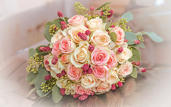 wedding bouquet, roses, purple roses, bridal bouquet, rose bouquet, background with roses, beautiful flowers HD wallpaper