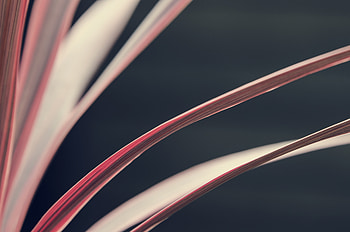 Miscellanea, Miscellaneous, Book, Paper, Page, Pages HD wallpaper