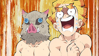 Inosuke and Zenitsu, Anime, Demon Slayer: Kimetsu no Yaiba, Inosuke Hashibira, Zenitsu Agatsuma HD wallpaper