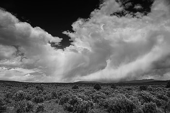 Landscape, Nature, Trees, Clouds, Bush, Hills, Bw, Chb HD wallpaper