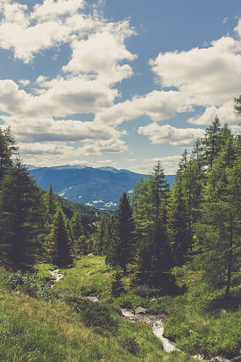 Idyllic landscape of lush green forest and mountains in Terento, Italy. HD phone wallpaper