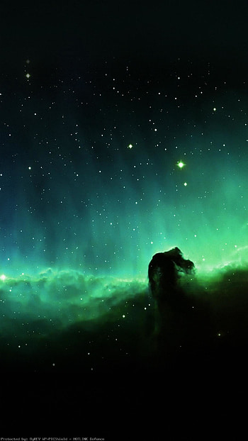 Horse-Head-Blue-Nebula-Sky-Space-Stars-- HD phone wallpaper