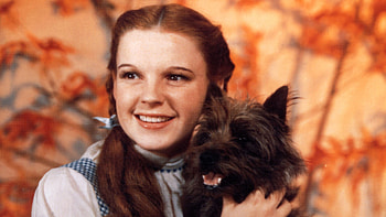Dorothy Gale, Judy Garland HD wallpaper