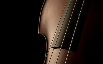 Dark, Form, Strings, Violin, Elegant, Graceful, Exquisite HD wallpaper