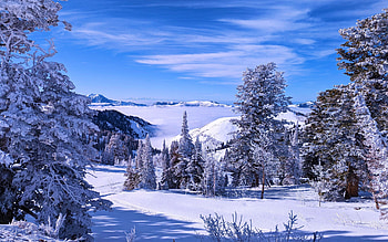 Powder Mountain above the Clouds, Utah, usa, snow, clouds, landscape, trees, sky HD wallpaper